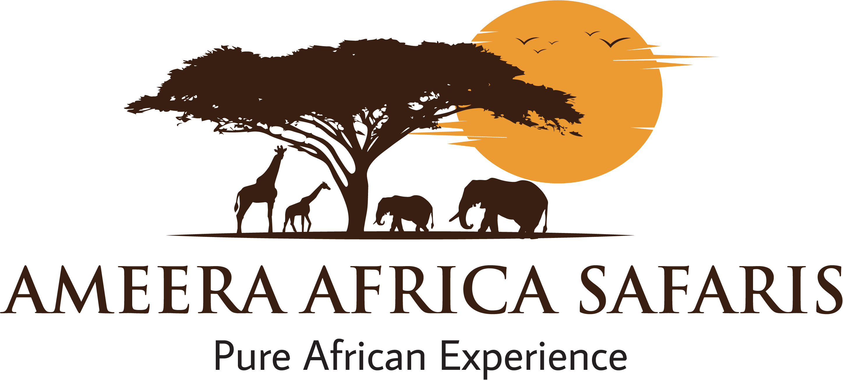 Ameera Africa Safaris